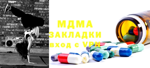 индика Алексин