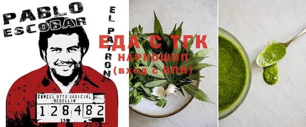 индика Алексин