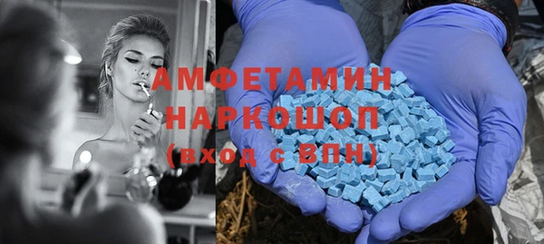 индика Алексин