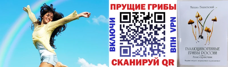 мега как зайти  Себеж  Псилоцибиновые грибы Psilocybe  цена  